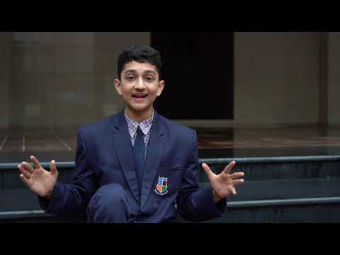 video-gallery